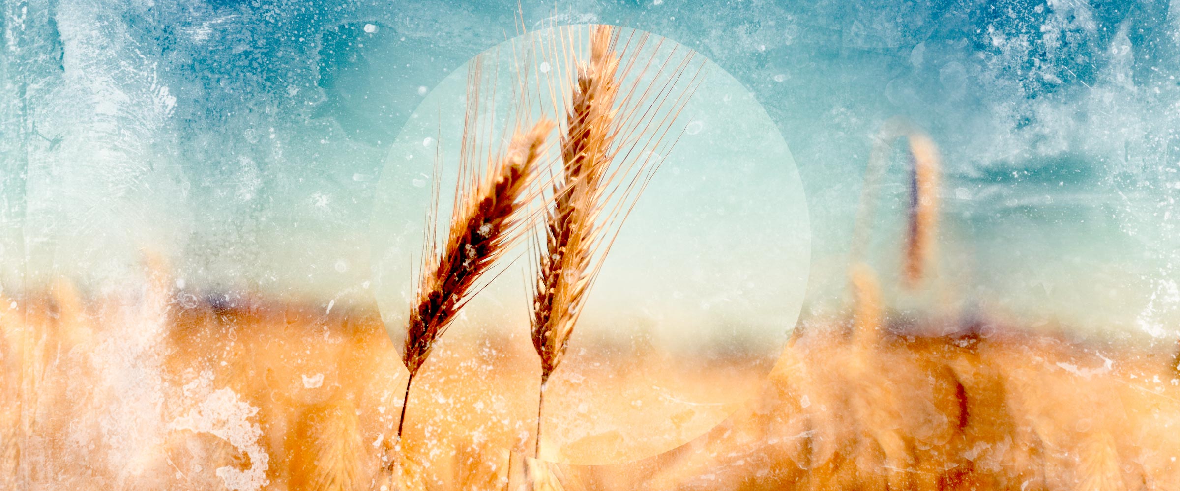 作個輕鬆有效家長